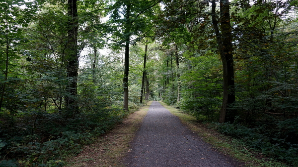 Houthulst-Vrijbos-23-9-2016