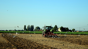 Oostnieuwkerke-11-10-2016-