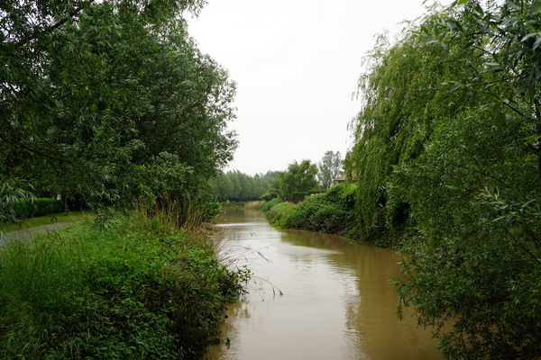 Roeselare-Stadspark-2-6-2016