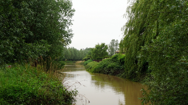 Roeselare-Stadspark-2-6-2016