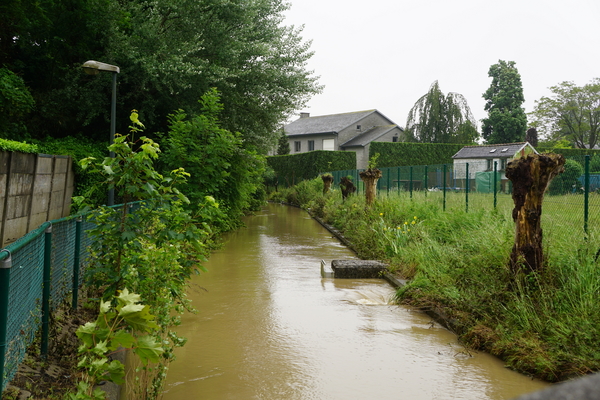 Roeselare-Stadspark-2-6-2016