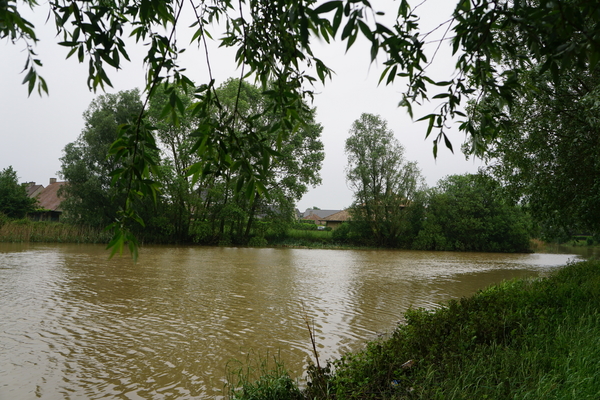 Roeselare-Stadspark-2-6-2016