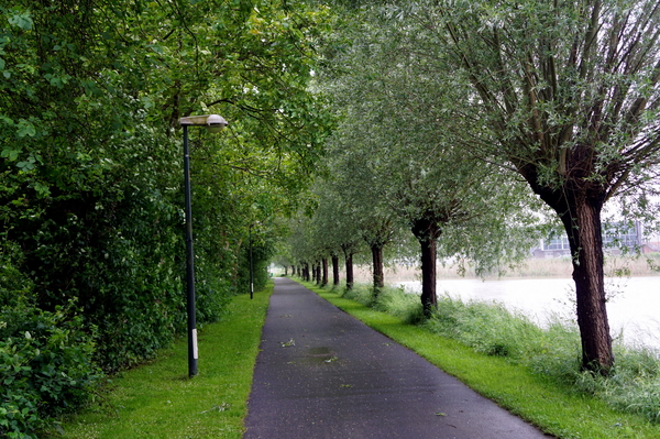 Roeselare-Stadspark-2-6-2016