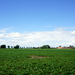 Hoogelede-3-7-2016