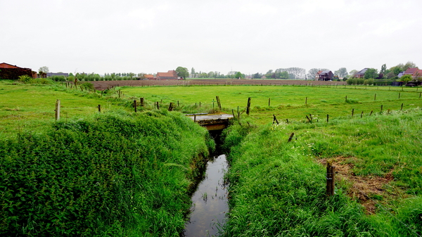 Roeselare-De Ruyter-10-5-2016-