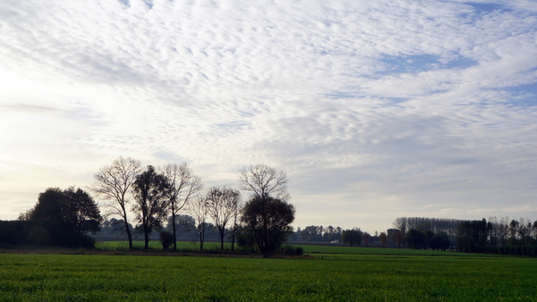 Roeselare-10-11-2016