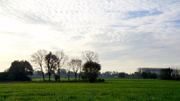 Roeselare-10-11-2016