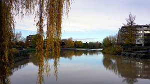 Roeselare-Stadspark-19-11-2016