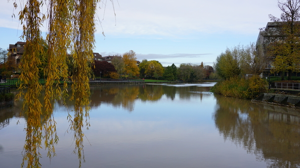 Roeselare-Stadspark-19-11-2016