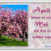De prutser project 32.1