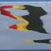 Weerspiegeling Belgische vlag.