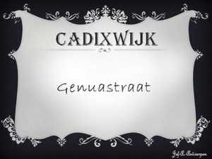 Genuastraat.