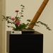 DSCN4298-1