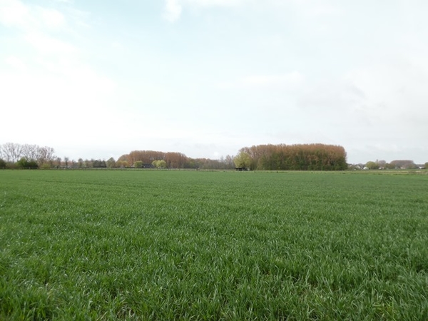 06-
