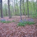 DSCN3457