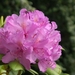 JB-2006-013