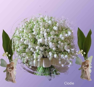 Clodie project 34.2