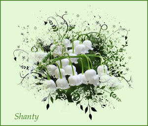 Shanty project 34.1