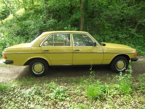 MB W123 Yellow