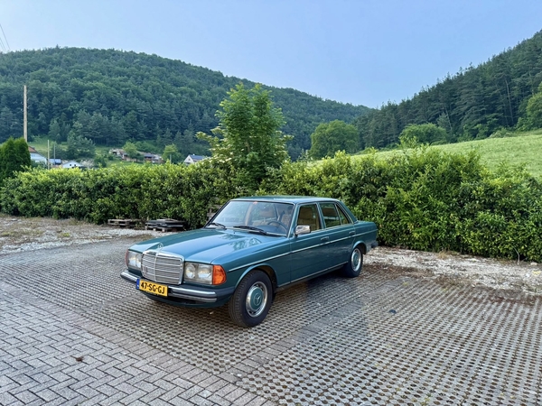 W123 (NL)