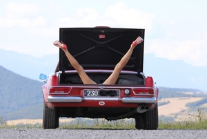 230SL(2)