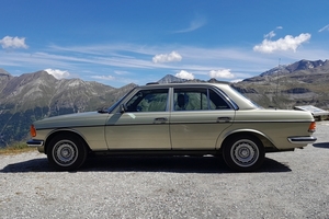 W123 bergen