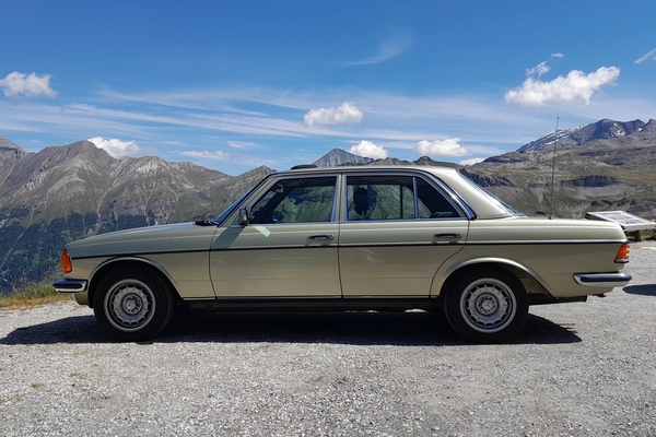 W123 bergen