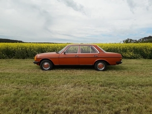 MB W123 oranje