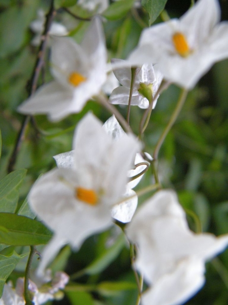 2016_04_23 Amalfi 023