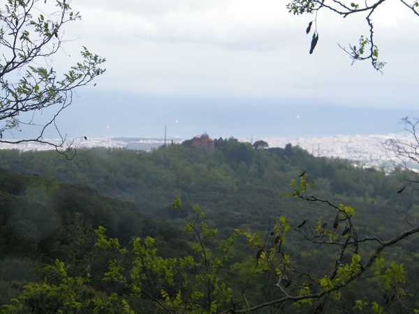 intersoc amalfi