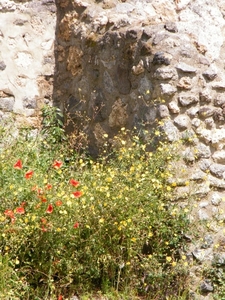 2016_04_24 Amalfi 060