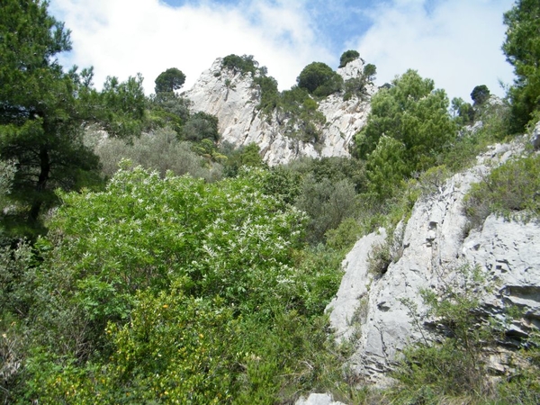 intersoc amalfi