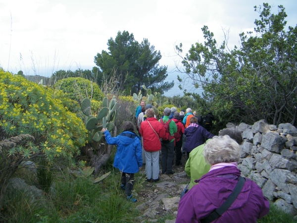 2016_04_25 Amalfi 043