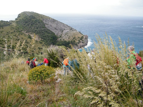 intersoc amalfi