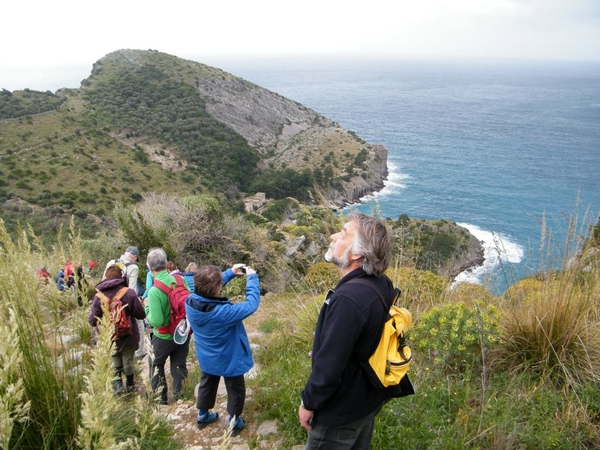 intersoc amalfi