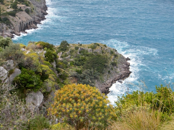 intersoc amalfi