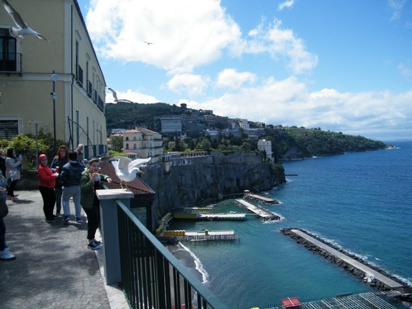 intersoc amalfi