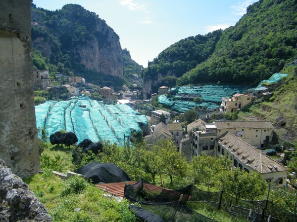 intersoc amalfi