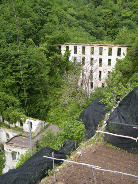 intersoc amalfi