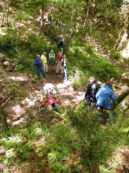 intersoc amalfi