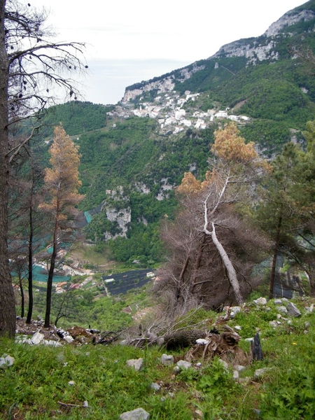 intersoc amalfi