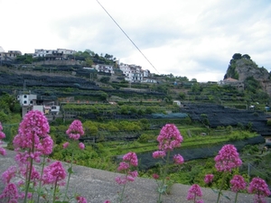 2016_04_26 Amalfi 143