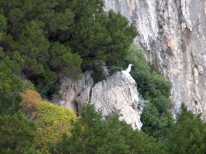 2016_04_27 Amalfi 051