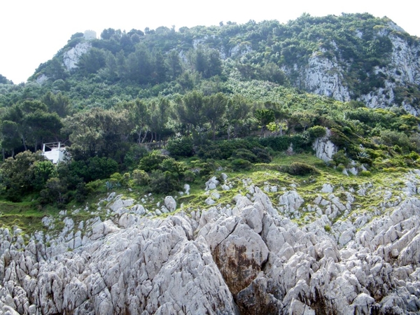 intersoc amalfi