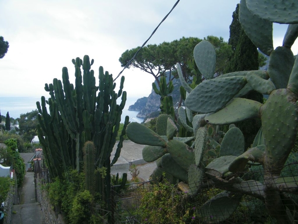 intersoc amalfi