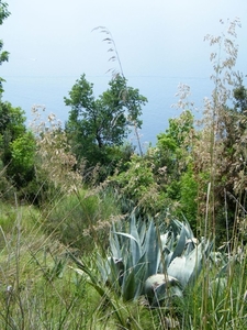 2016_04_28 Amalfi 098