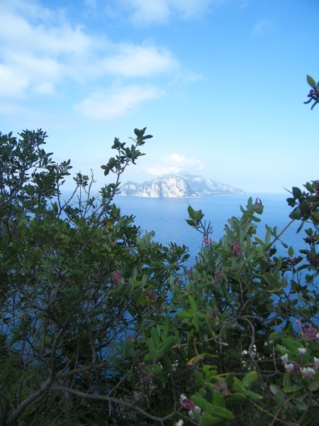 intersoc amalfi