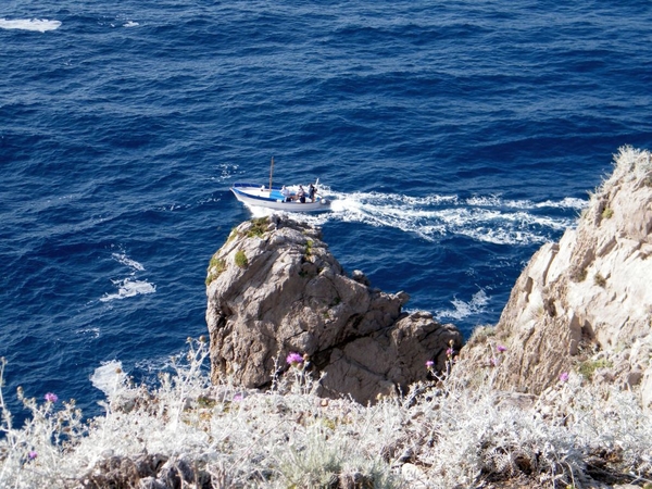 intersoc amalfi