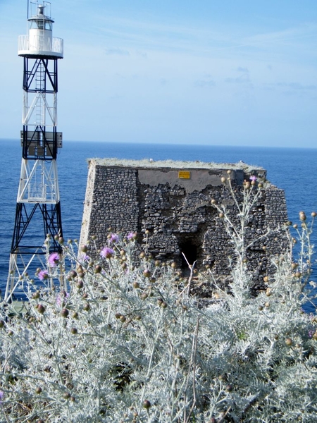 intersoc amalfi