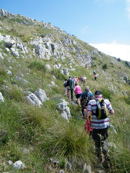 intersoc amalfi